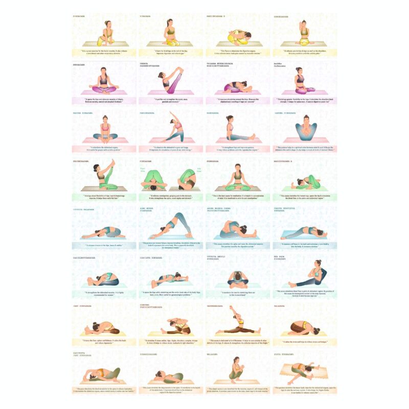 sitting position yoga 3